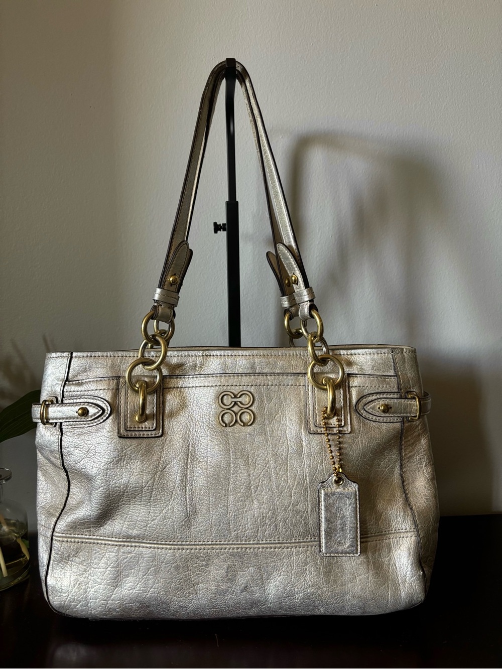 Coach Metallic Carryall